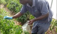 Tanzania, LSG Sky Chefs